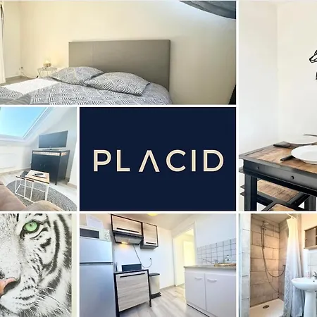 Le Saint Pathère - Proche A16 - Fibre Calais