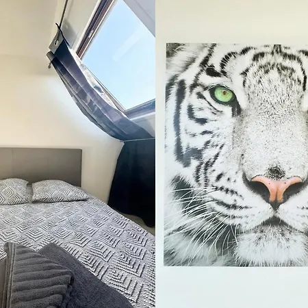 Le Saint Pathere - Proche A16 - Fibre Apartmán Calais