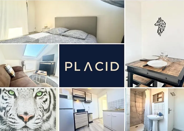 Le Saint Pathere - Proche A16 - Fibre קאלה