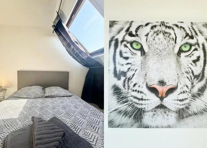 דירה Le Saint Pathere - Proche A16 - Fibre קאלה